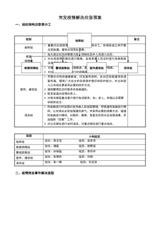 2025年突发疫情应急预案