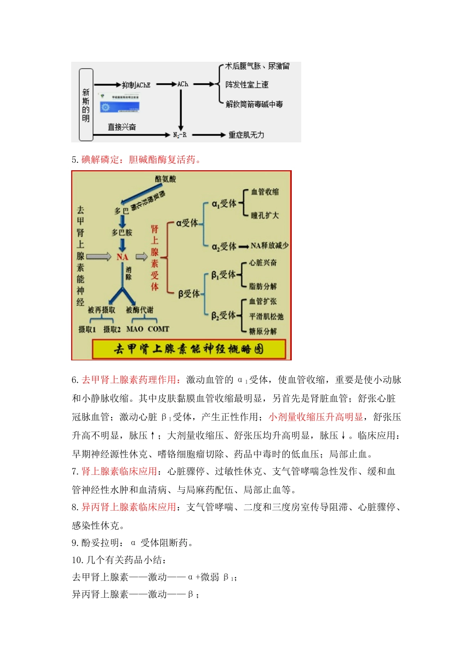 2025年药理学独家记忆_第2页