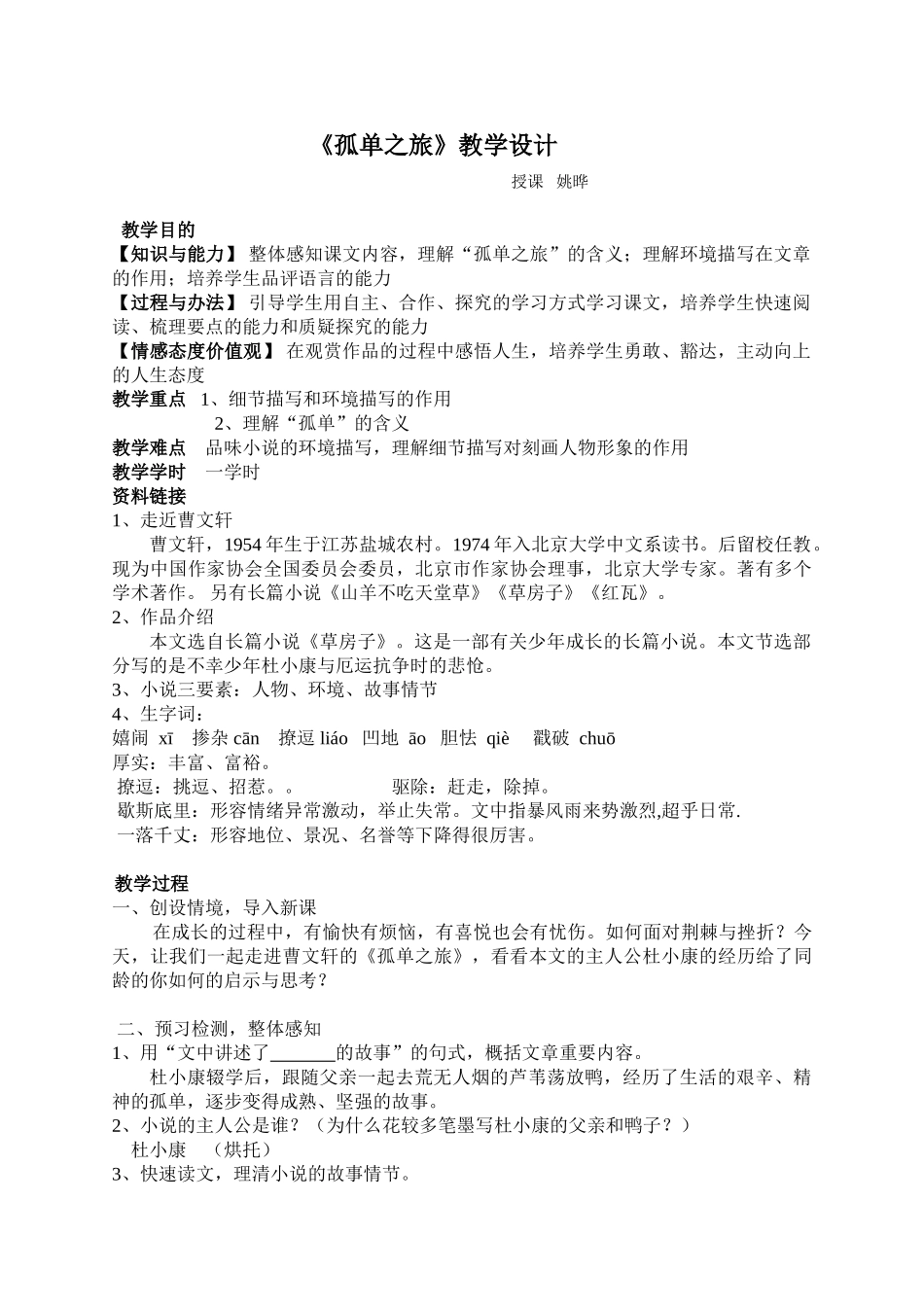 2025年孤独之旅教案_第1页