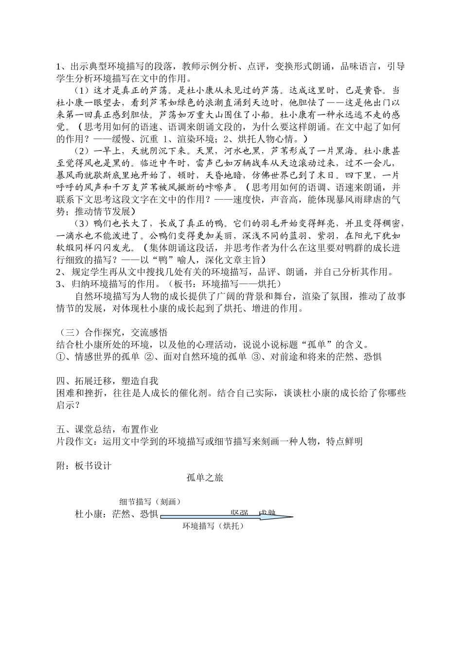 2025年孤独之旅教案_第3页