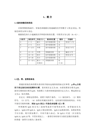 2025年染色体核型简要说明