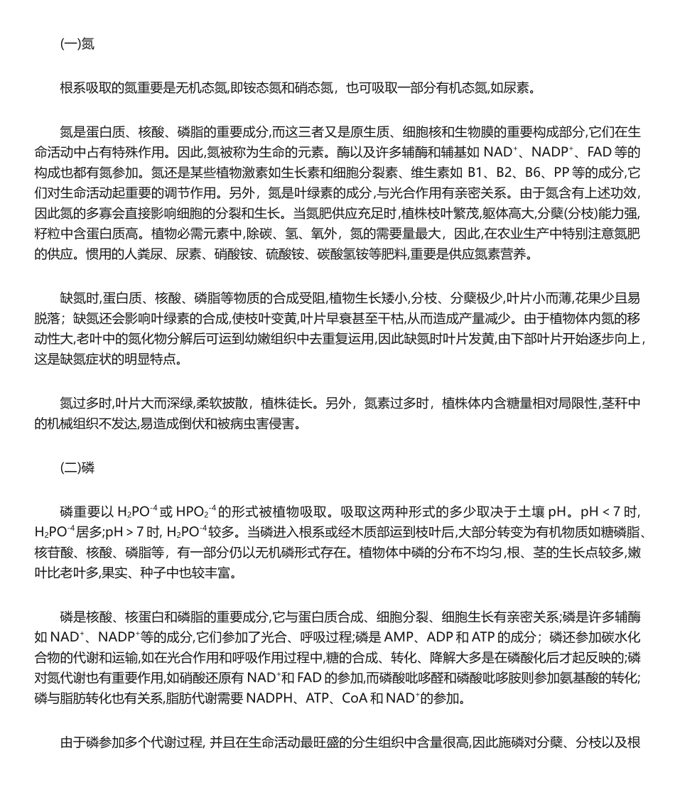 2025年植物缺素症状判断_第1页