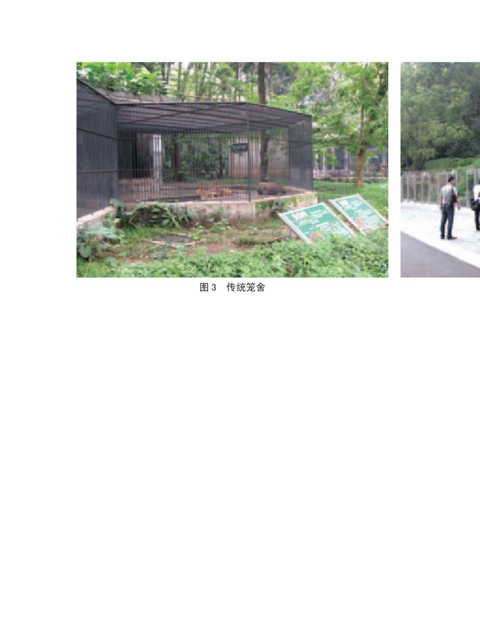 2025年野生动物园空间布局与动物展示方式_第2页