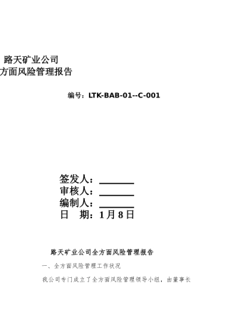 2025年年度全面风险管理报告