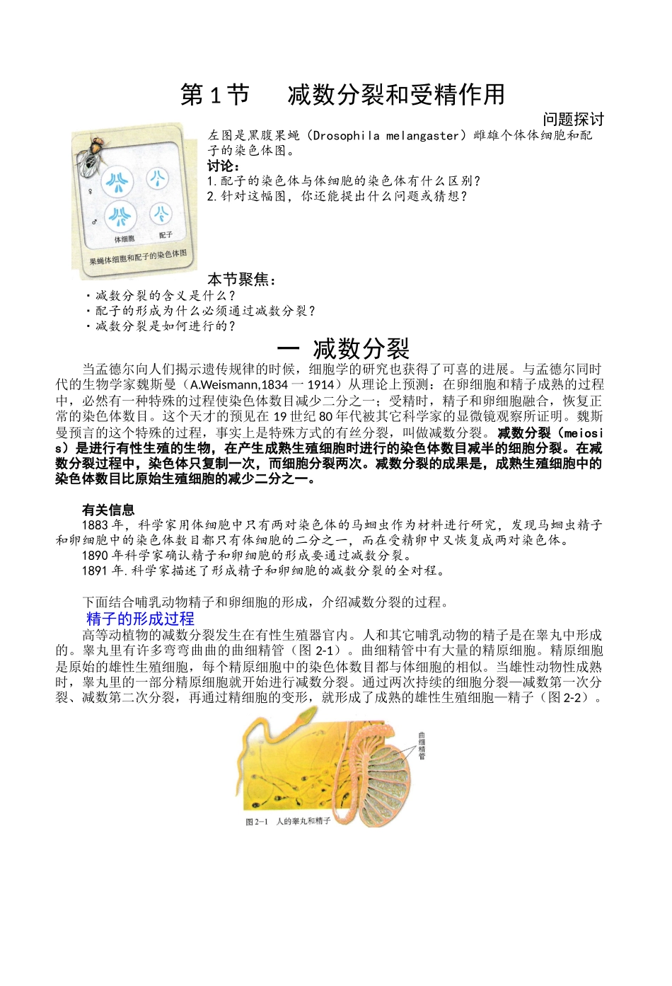 2025年减数分裂和受精作用_第1页