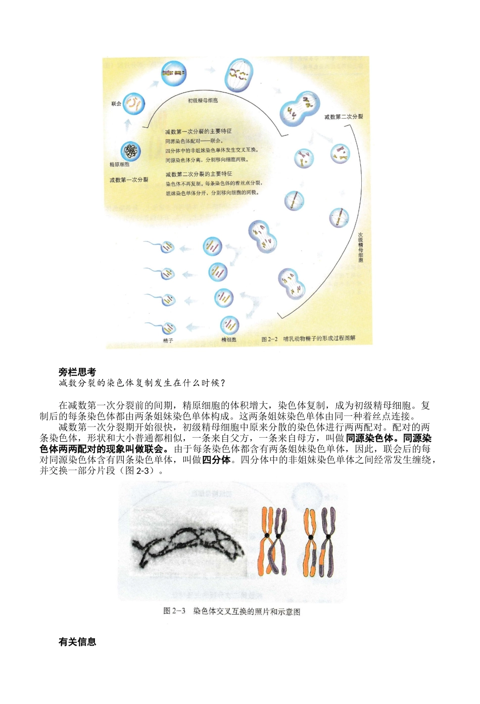 2025年减数分裂和受精作用_第2页