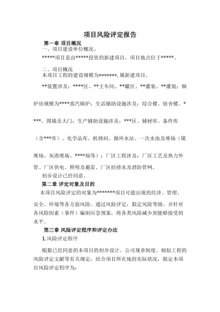 2025年项目风险评估报告材料