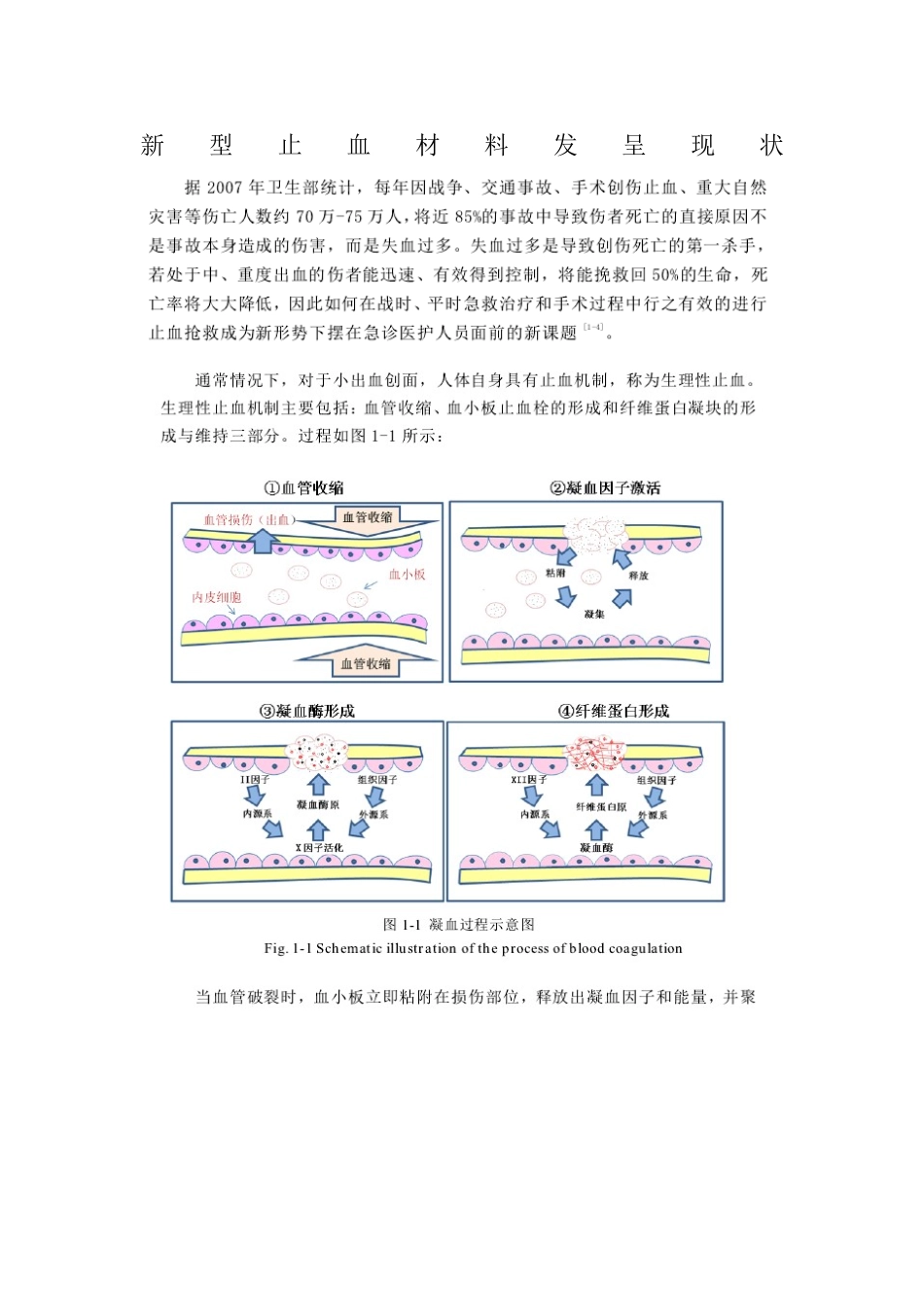 2025年新型止血材料发展现状_第1页