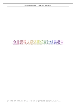 企业领导人经济责任审计结果报告4p