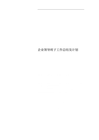 企业领导班子工作总结及计划
