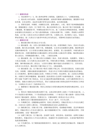 2025年局部解剖学上肢