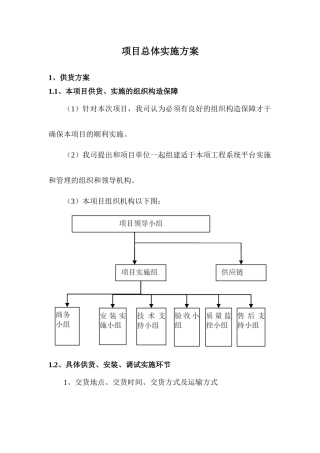 2025年项目总体实施方案