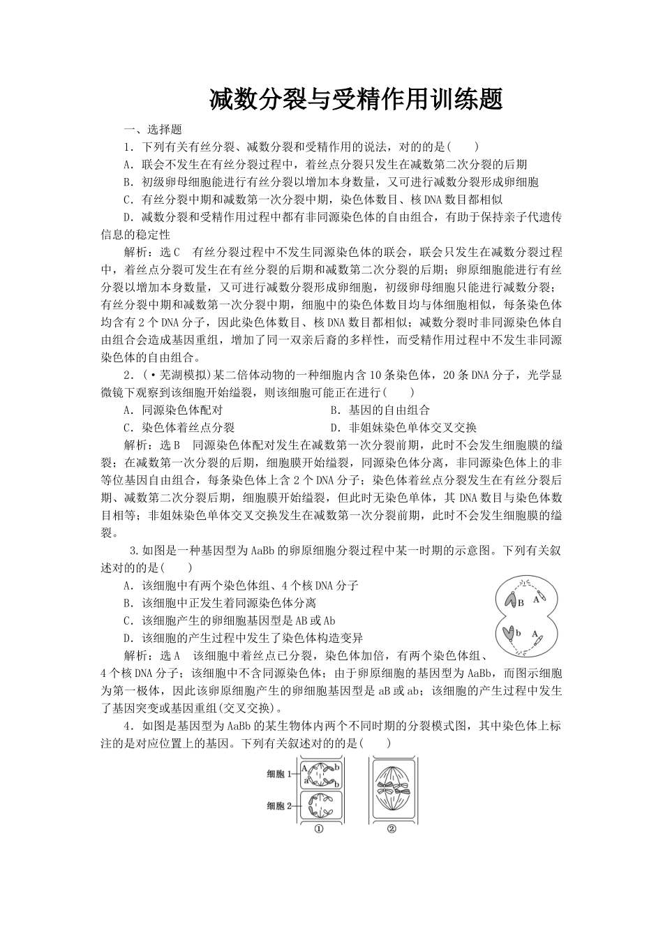 2025年减数分裂与受精作用训练题_第1页