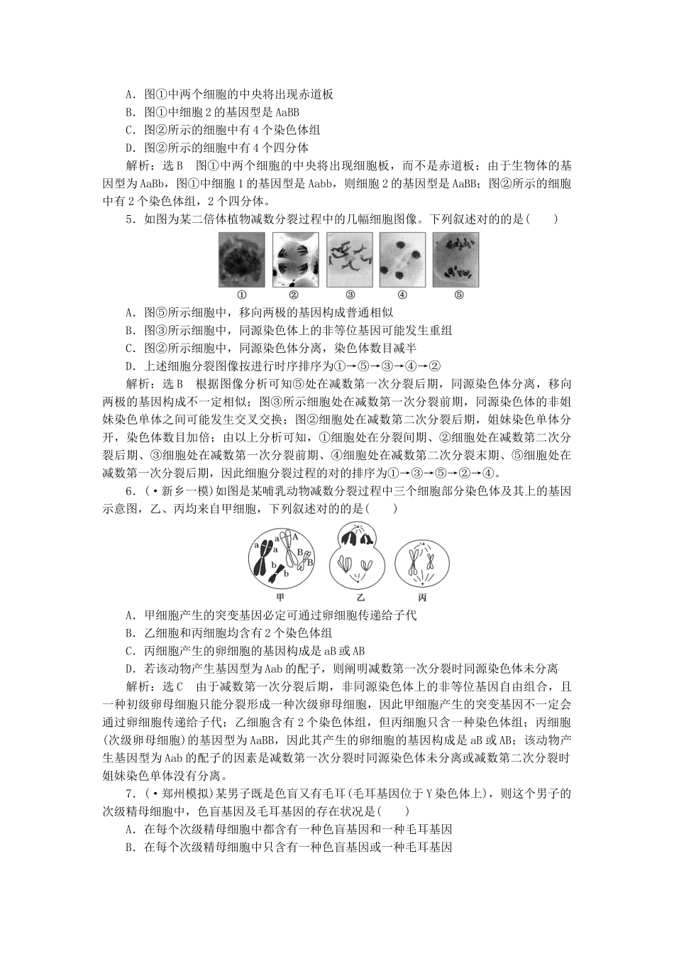 2025年减数分裂与受精作用训练题_第2页