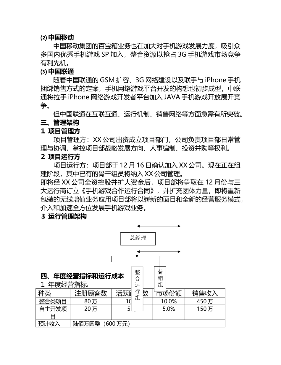 2025年项目管理项目运营方案_第3页
