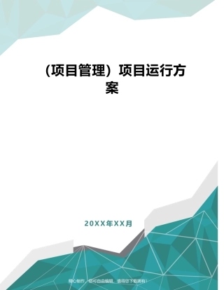 2025年项目管理项目运营方案