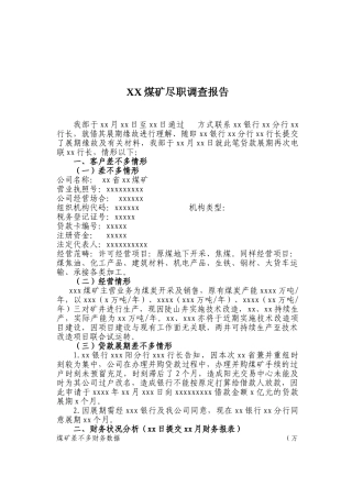 2025年煤矿尽职调查报告