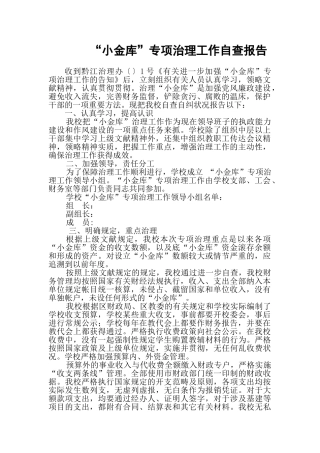 2025年小金库自查报告