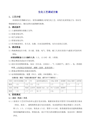 2025年生化项目调试方案
