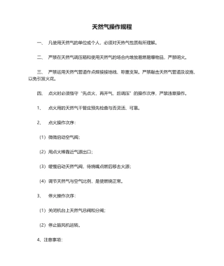 2025年天然气操作规程