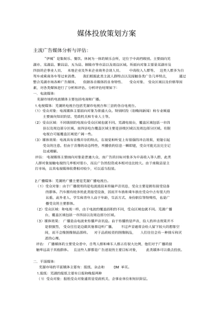 伊城媒体投放方案