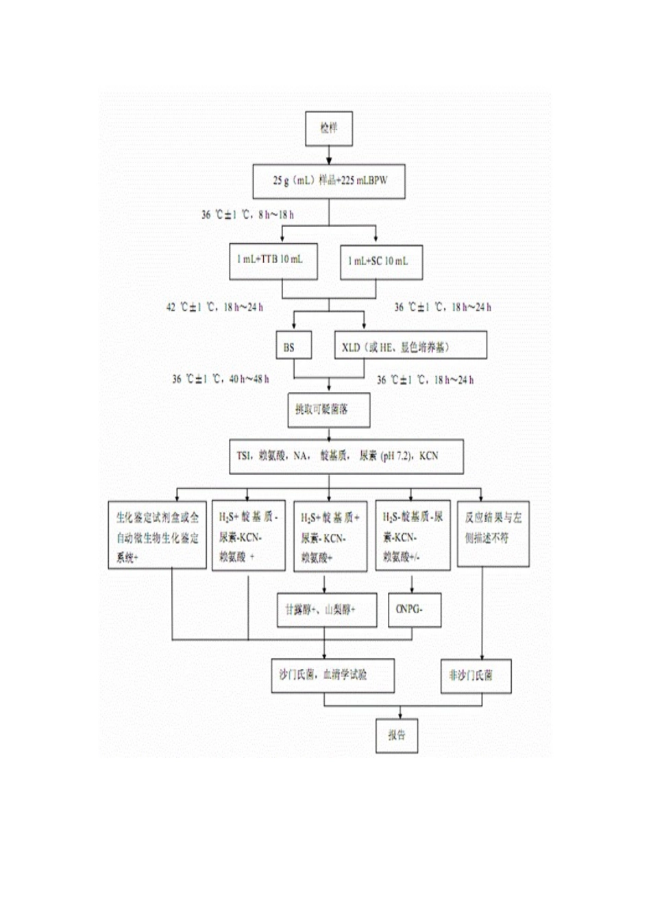 2025年沙门氏菌的检验_第3页
