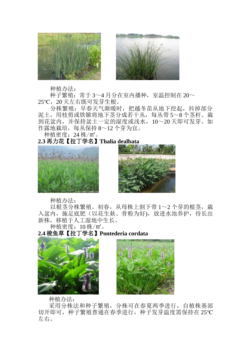 2025年人工湿地水生植物配置以和种植方法种植间距等_第2页