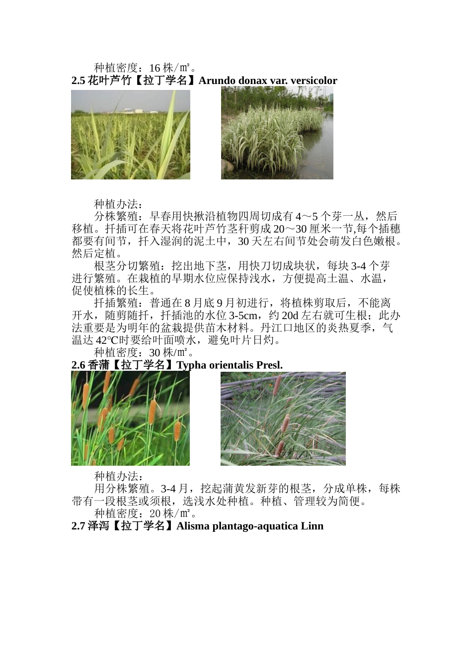 2025年人工湿地水生植物配置以和种植方法种植间距等_第3页