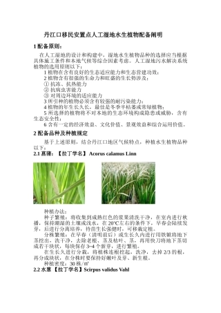 2025年人工湿地水生植物配置以和种植方法种植间距等