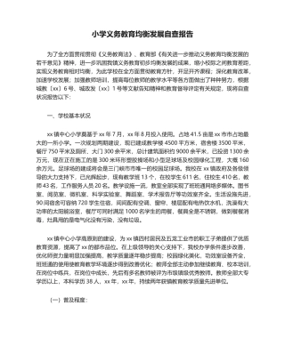 2025年自查报告 小学义务教育均衡发展自查报告