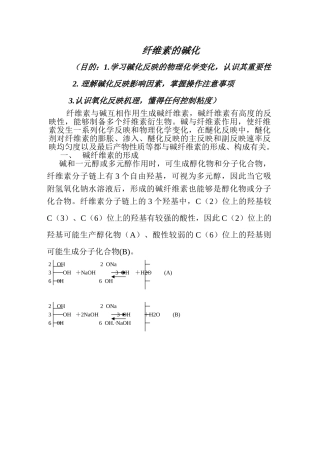2025年纤维素的碱化
