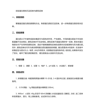 2025年实验蛋白质的沉淀反应及颜色反应