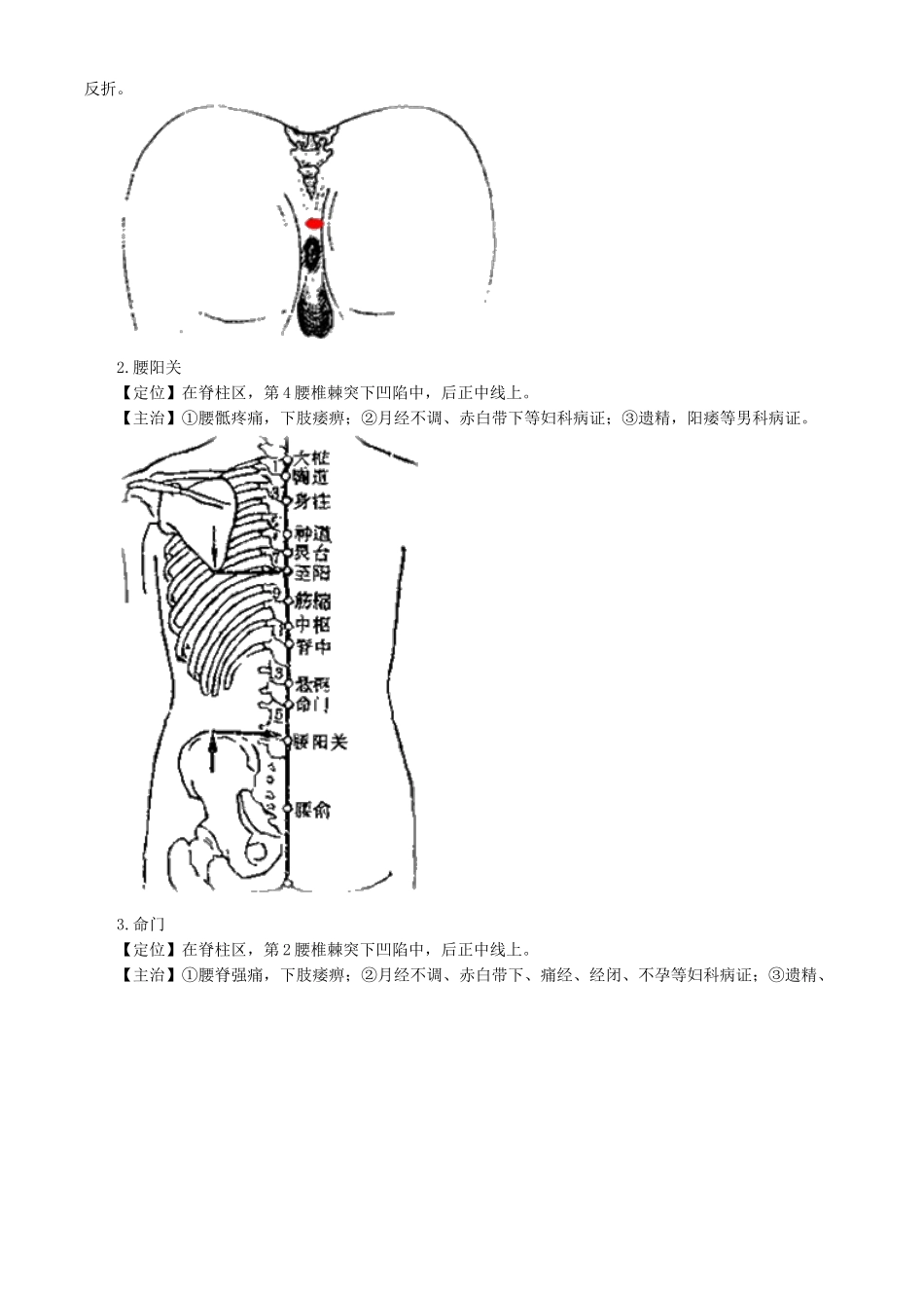 2025年针灸学督脉腧穴_第2页
