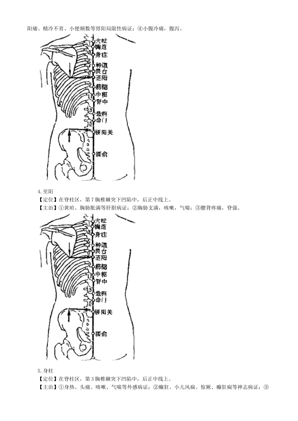 2025年针灸学督脉腧穴_第3页