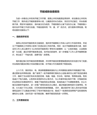 2025年节能减排自查报告