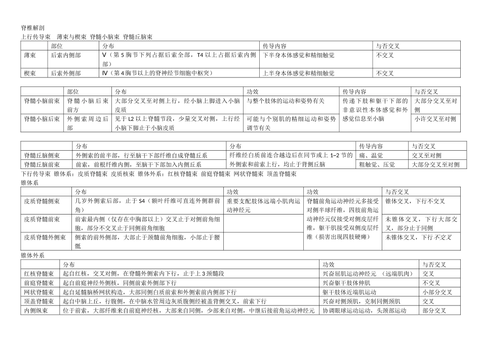 2025年神经解剖总结_第1页