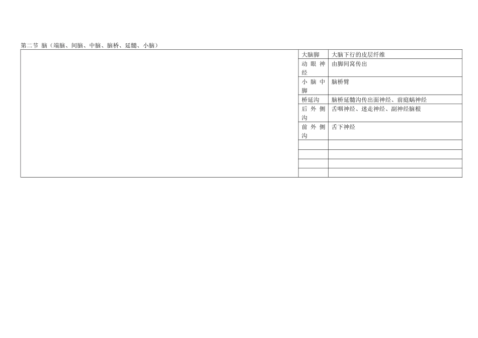 2025年神经解剖总结_第2页