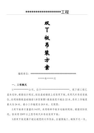 2025年双T板施工方案