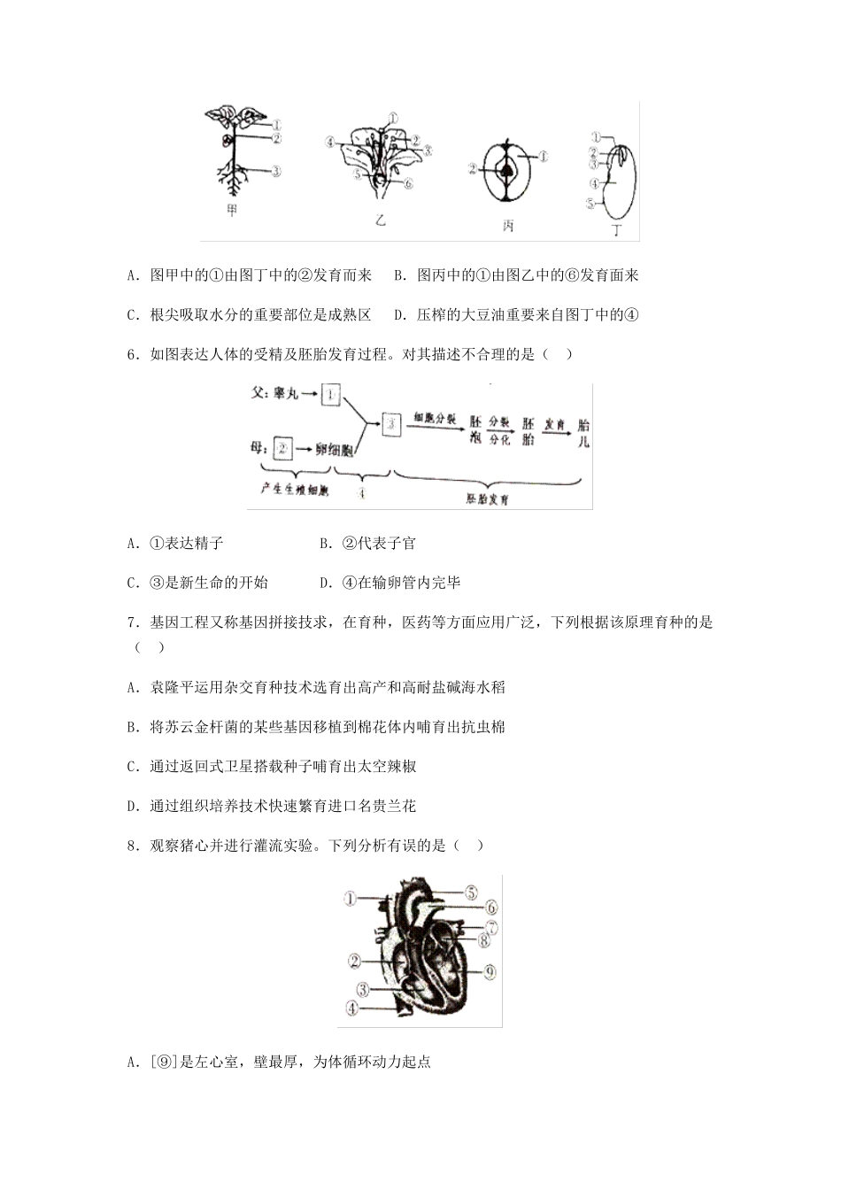 2025年人教版初中生物中考生物试题_第2页