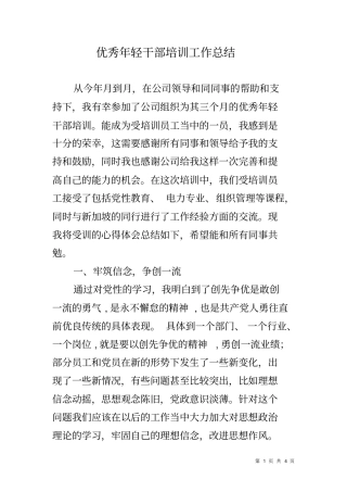 优秀年轻干部培训工作总结