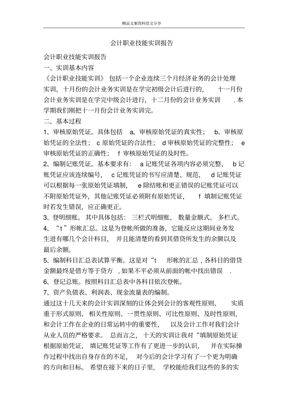 会计职业技能实训报告-精品文案范文_第1页