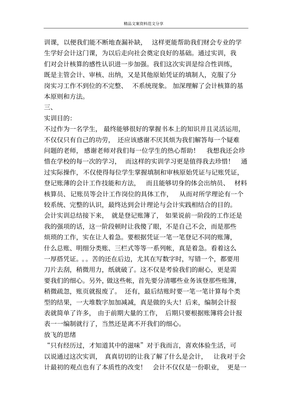 会计职业技能实训报告-精品文案范文_第2页