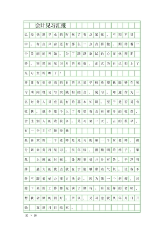 会计见习汇报精品工作报告