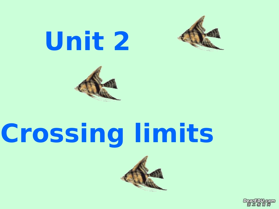 高三英语Unit2 crossing limitreading课件 人教版 课件_第1页