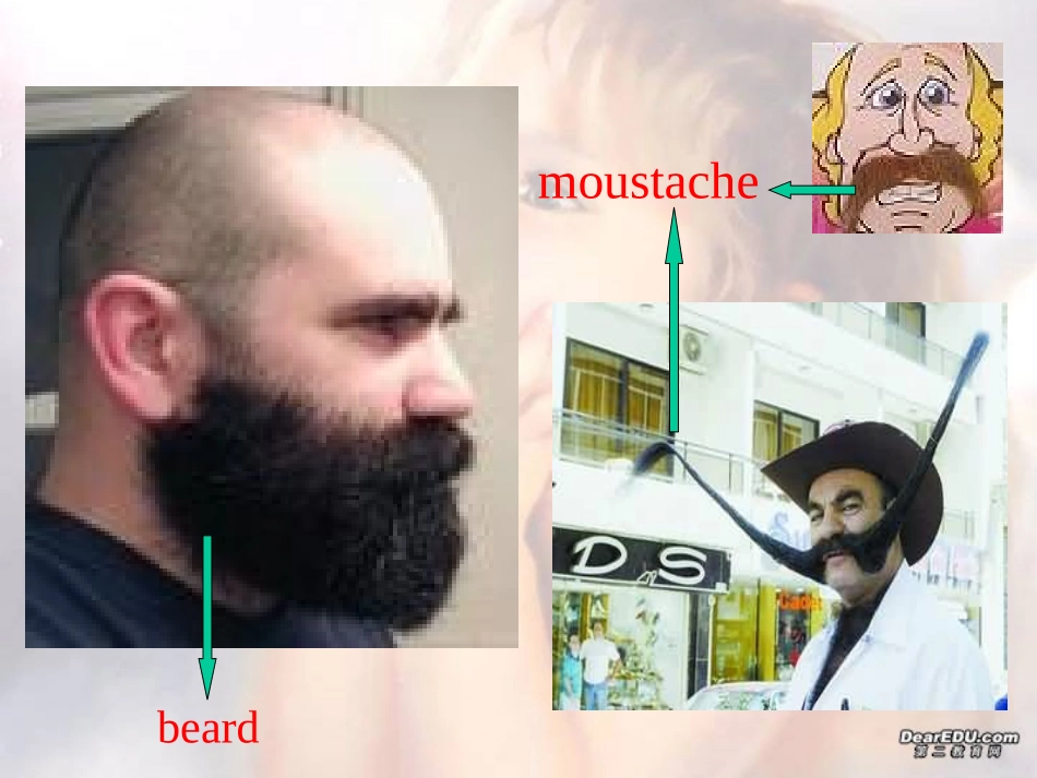 高三Unit1 Words 新课标 人教版 课件_第2页