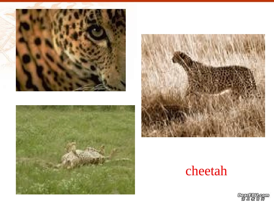 高三Unit1 Words 新课标 人教版 课件_第3页