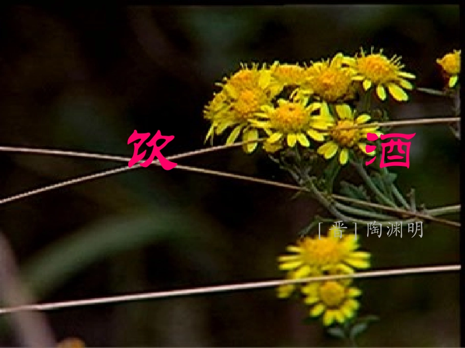 第六单元(饮酒)3 七年级语文下册第六单元诗词五首课件语文版_第3页