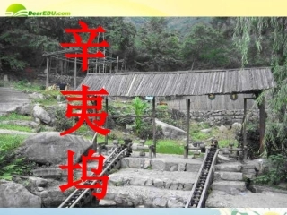 高一语文(辛夷坞)课件 北京版 课件