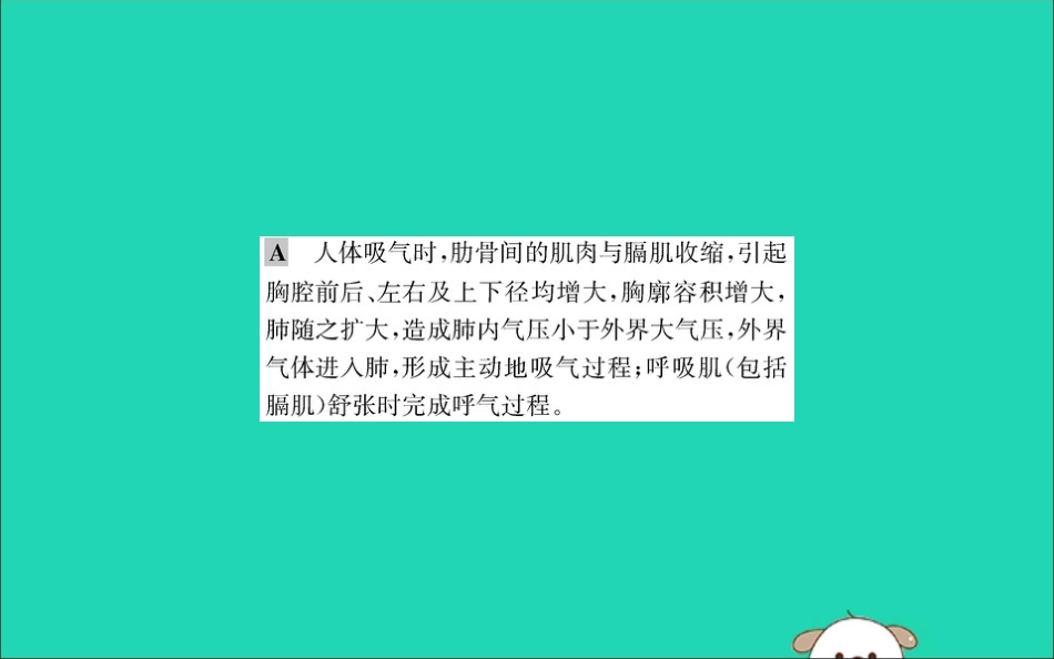 版七年级生物下册 第四单元 生物圈中的人 第三章 人体的呼吸 2 发生在肺内的气体交换训练课件 新人教版 课件_第3页