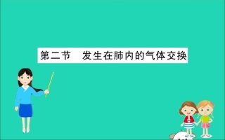 版七年级生物下册 第四单元 生物圈中的人 第三章 人体的呼吸 2 发生在肺内的气体交换训练课件 新人教版 课件